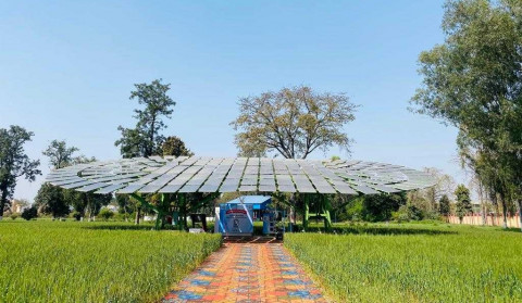 CSIR-CMERI develops the world’s largest solar tree, scripts global record