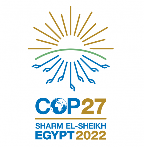 COP27 takes on the baton for combating global climate change in Egypt