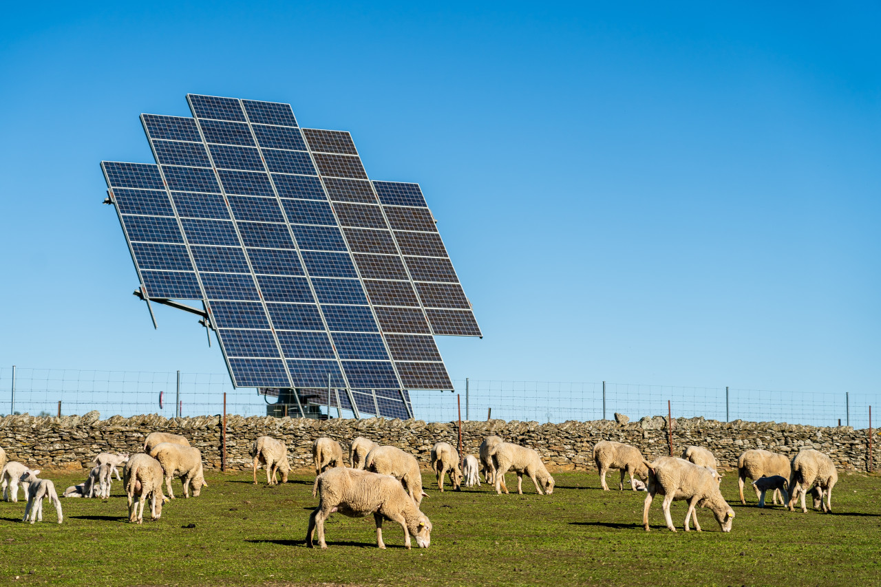 Brookfield files proposal for 'Speedway': a 900 MW solar + storage project in Oregon